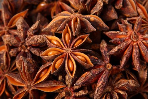 100% ESSENTIAL OIL - CHINESE ANISE