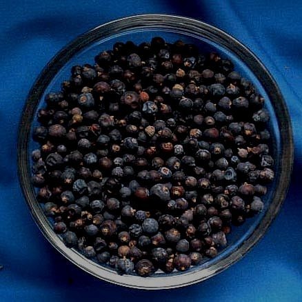 JUNIPER BERRIES (Dried, for incense)