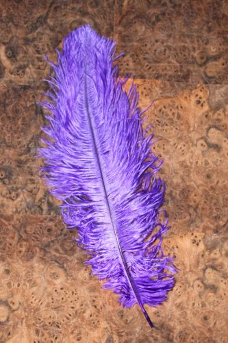 REAL OSTRICH FEATHER (different colours) ca. 25-30cm