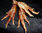 VOODOO CHICKEN FOOT (ANOINTED AND PREPARED!)