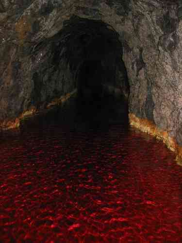 VOODOO BLOOD WATER (Bloody red water for your altar and your ritual work) "BLOOD OF DAMBALLAH"
