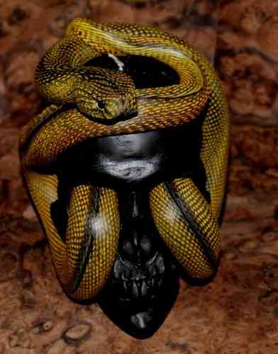 SNAKE-CANDLE SNAKE SKULL (HANDMADE) about 1:1 size of a human skull! Very big and heavy!