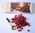 SEALING WAX - PEARLS (RED with SPOON)